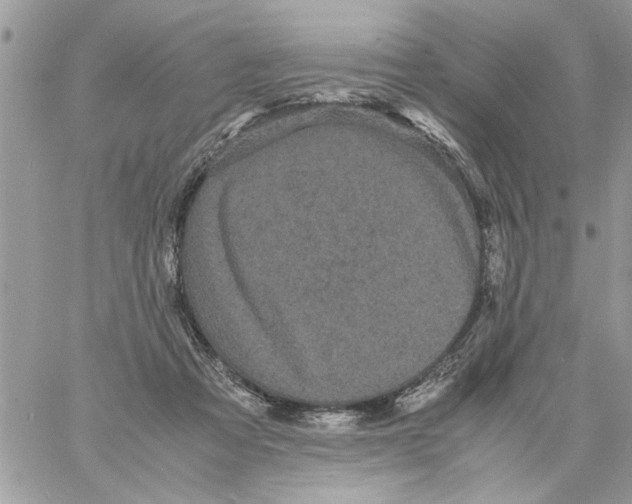 X0000061760313200512302310