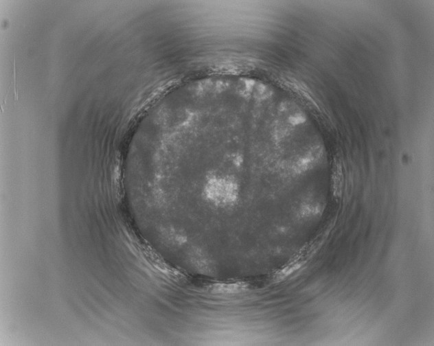 X0000061760314200512302310