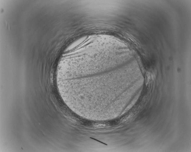 X0000061760315200512302310