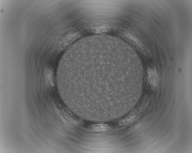 X0000061760316200512302310