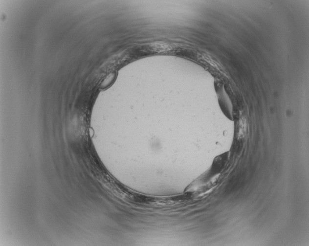 X0000061760317200512302310