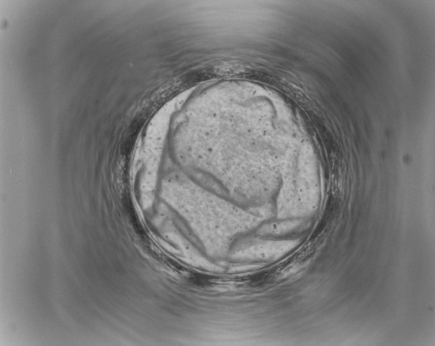 X0000061760319200512302310