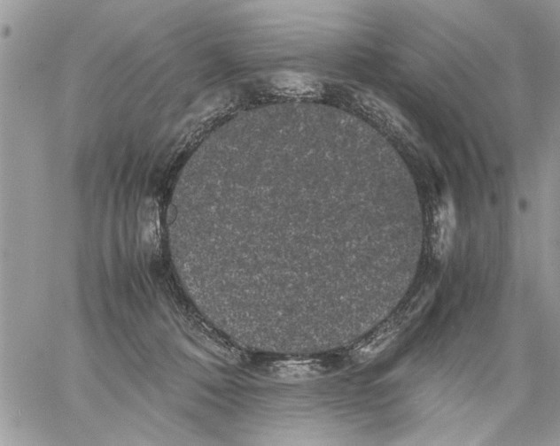 X0000061760320200512302310