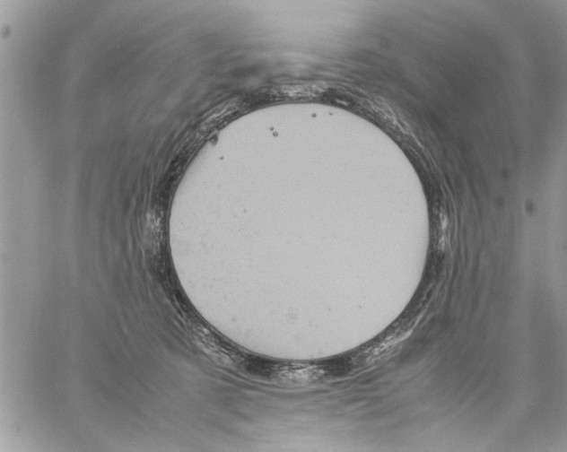 X0000061760321200512302310