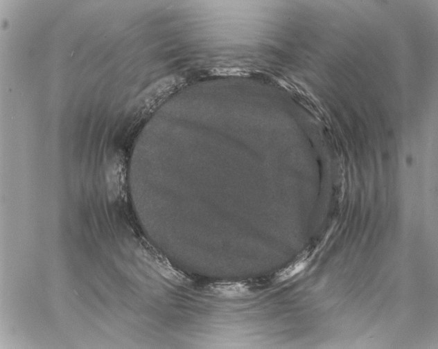 X0000061760322200512302310