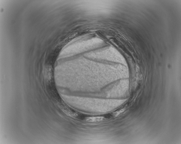 X0000061760323200512302310