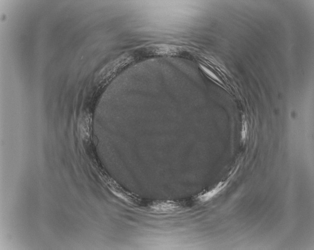 X0000061760325200512302310