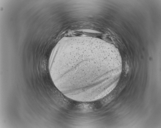 X0000061760326200512302310