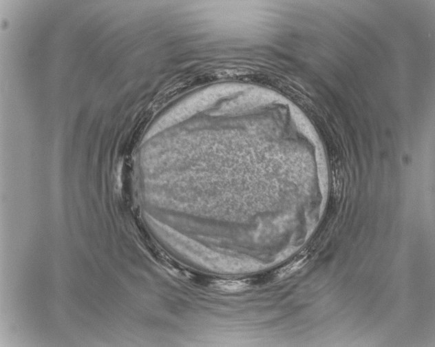 X0000061760327200512302310