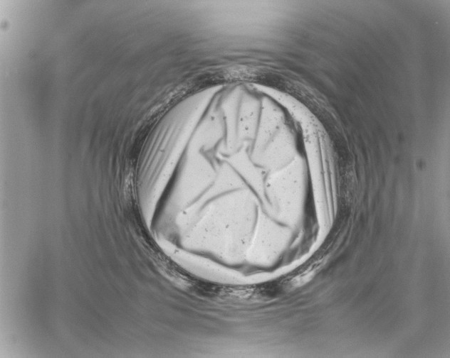 X0000061760329200512302310