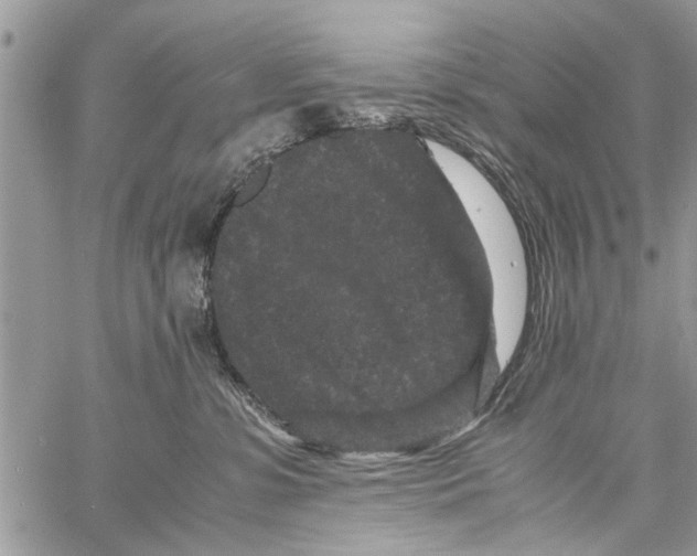 X0000061760331200512302310