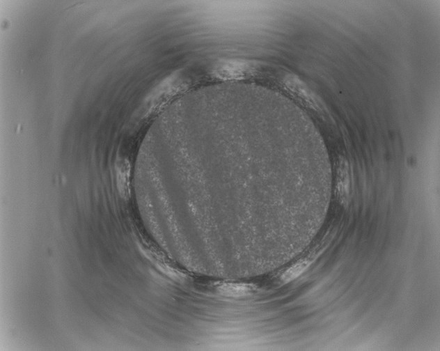 X0000061760332200512302310