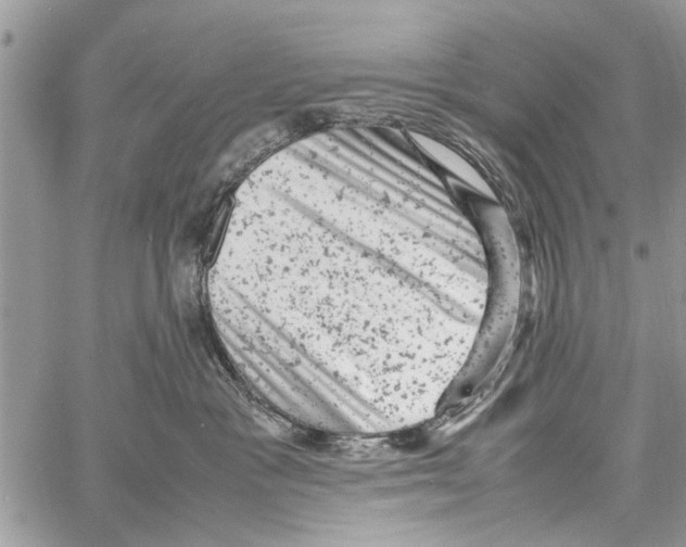 X0000061760333200512302310