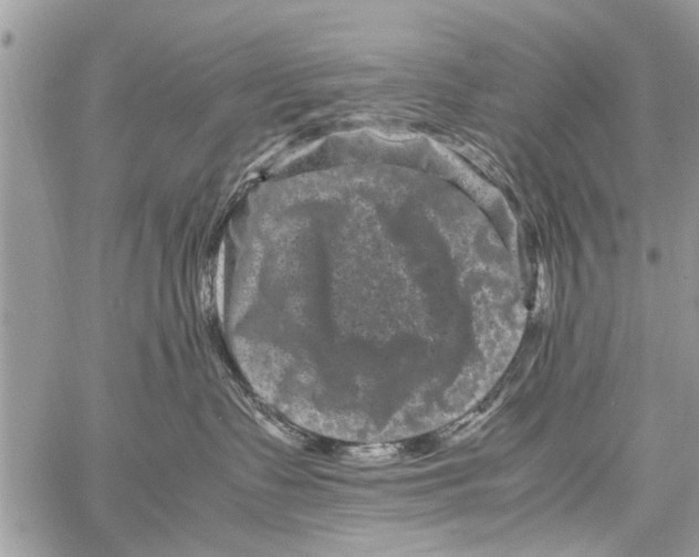 X0000061760335200512302310