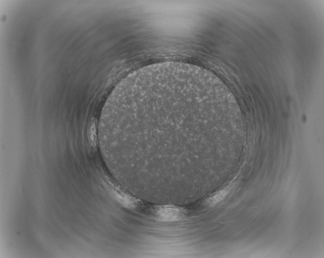 X0000061760336200512302310