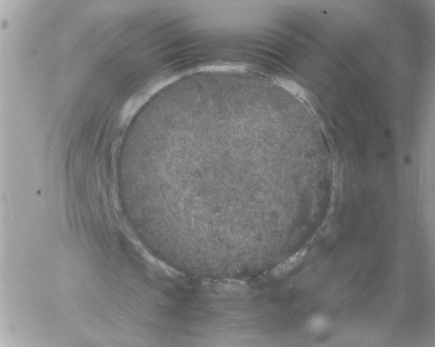 X0000061760337200512302309