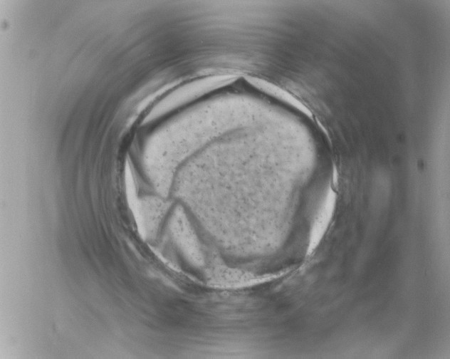 X0000061760338200512302309