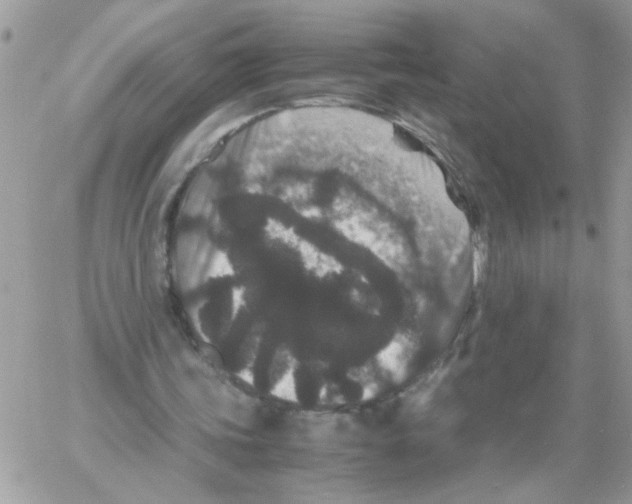 X0000061760339200512302309