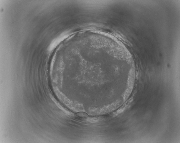 X0000061760341200512302309