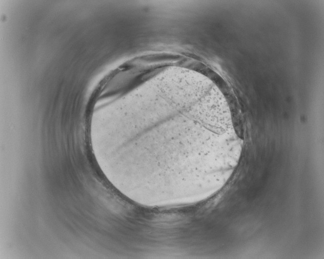 X0000061760342200512302309