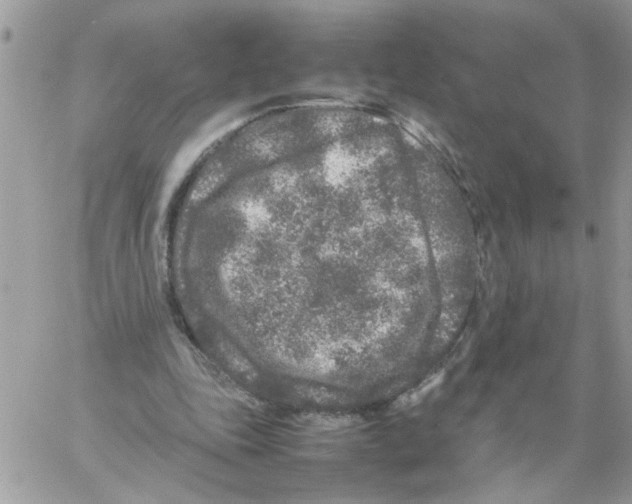 X0000061760343200512302309