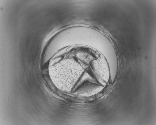 X0000061760344200512302309