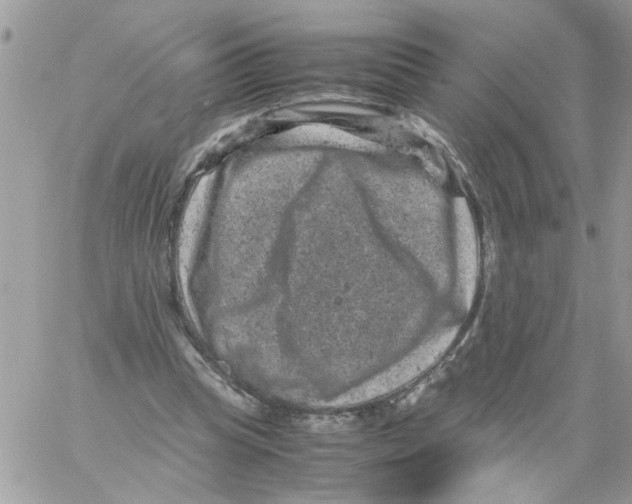 X0000061760345200512302309