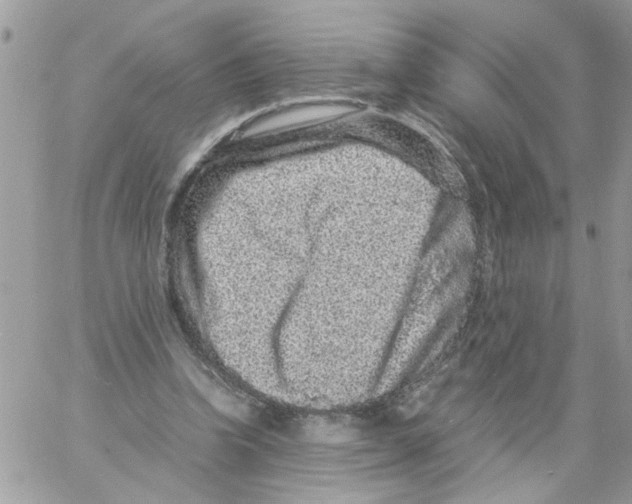 X0000061760346200512302309