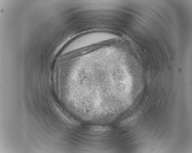 X0000061760347200512302309