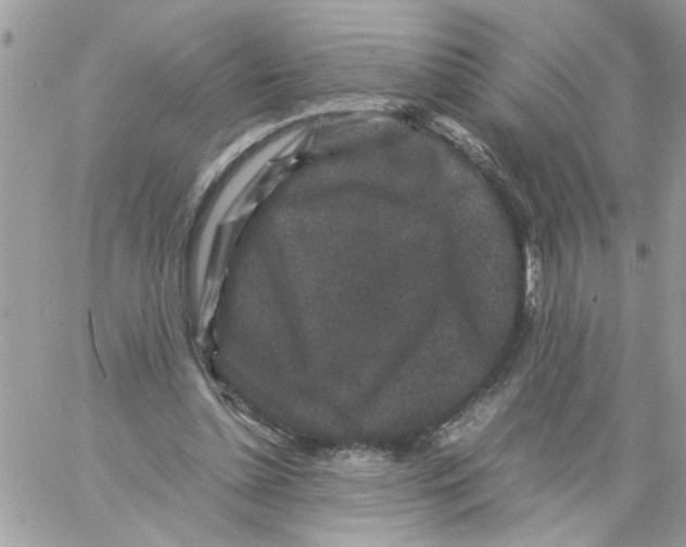 X0000061760348200512302309