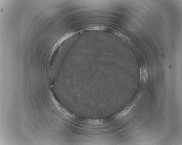 X0000061760349200512302309