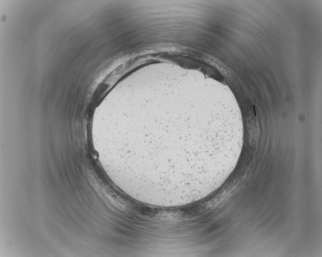 X0000061760350200512302309