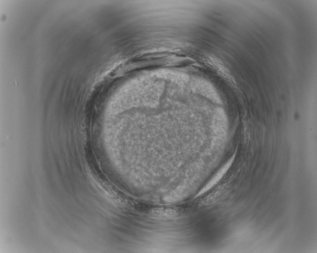 X0000061760354200512302309