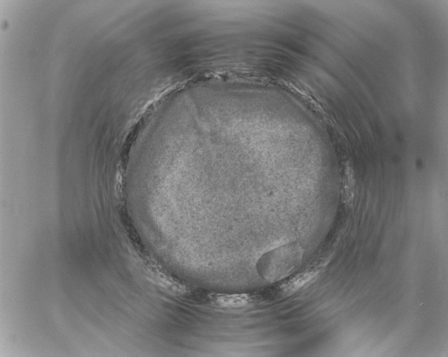 X0000061760355200512302309