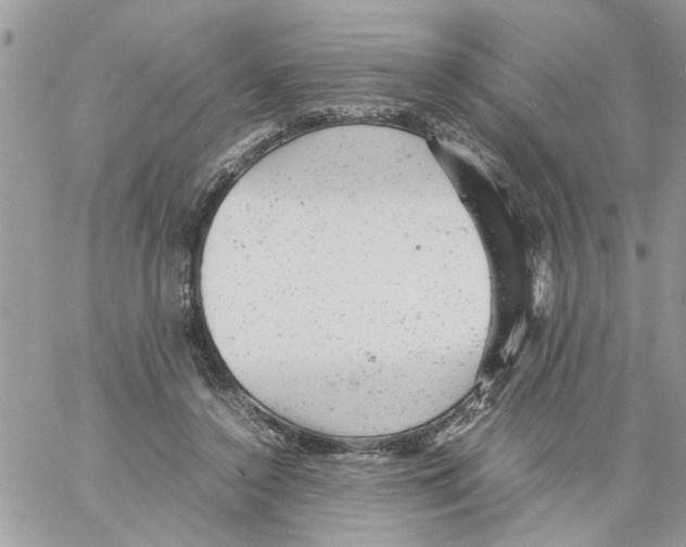 X0000061760356200512302309