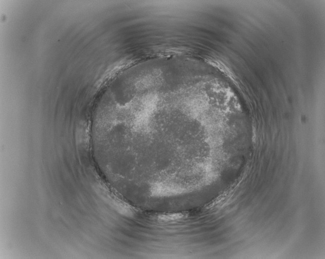 X0000061760357200512302309