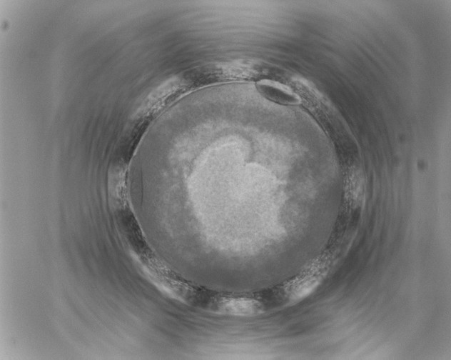 X0000061760360200512302309