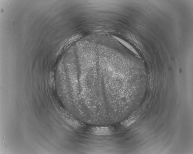 X0000061760361200512302309