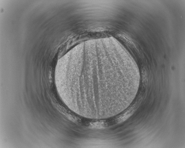 X0000061760362200512302309