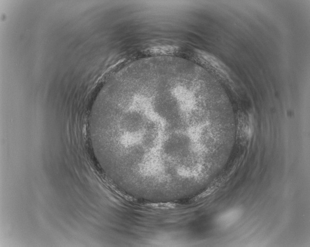 X0000061760363200512302309