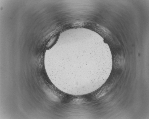 X0000061760364200512302309