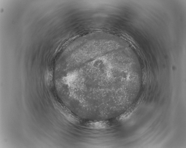 X0000061760365200512302309