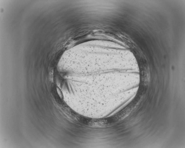 X0000061760368200512302309