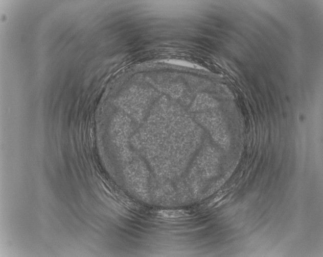 X0000061760371200512302310