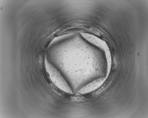 X0000061760372200512302310