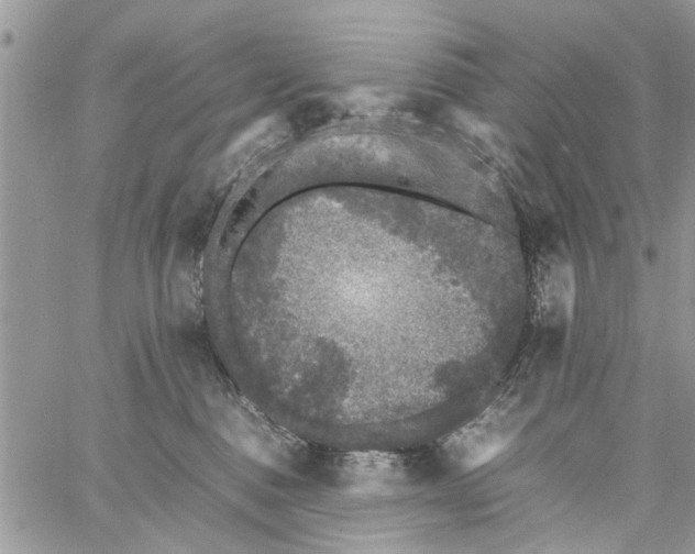 X0000061760376200512302310