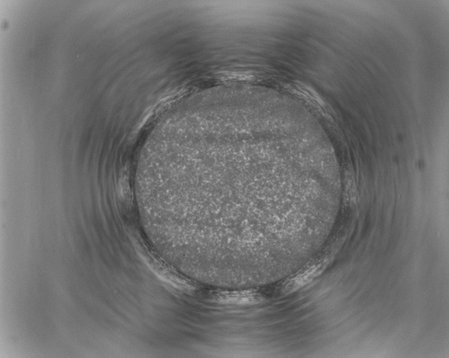 X0000061760377200512302310