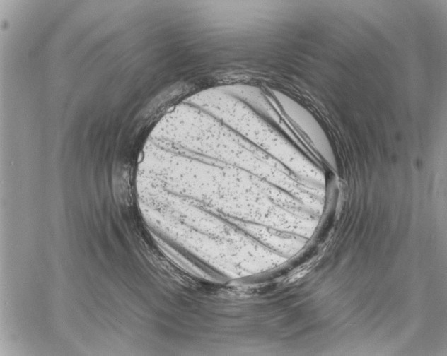 X0000061760378200512302310