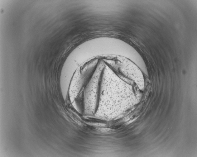 X0000061760380200512302310