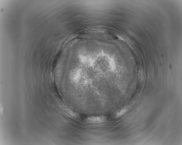 X0000061760381200512302310